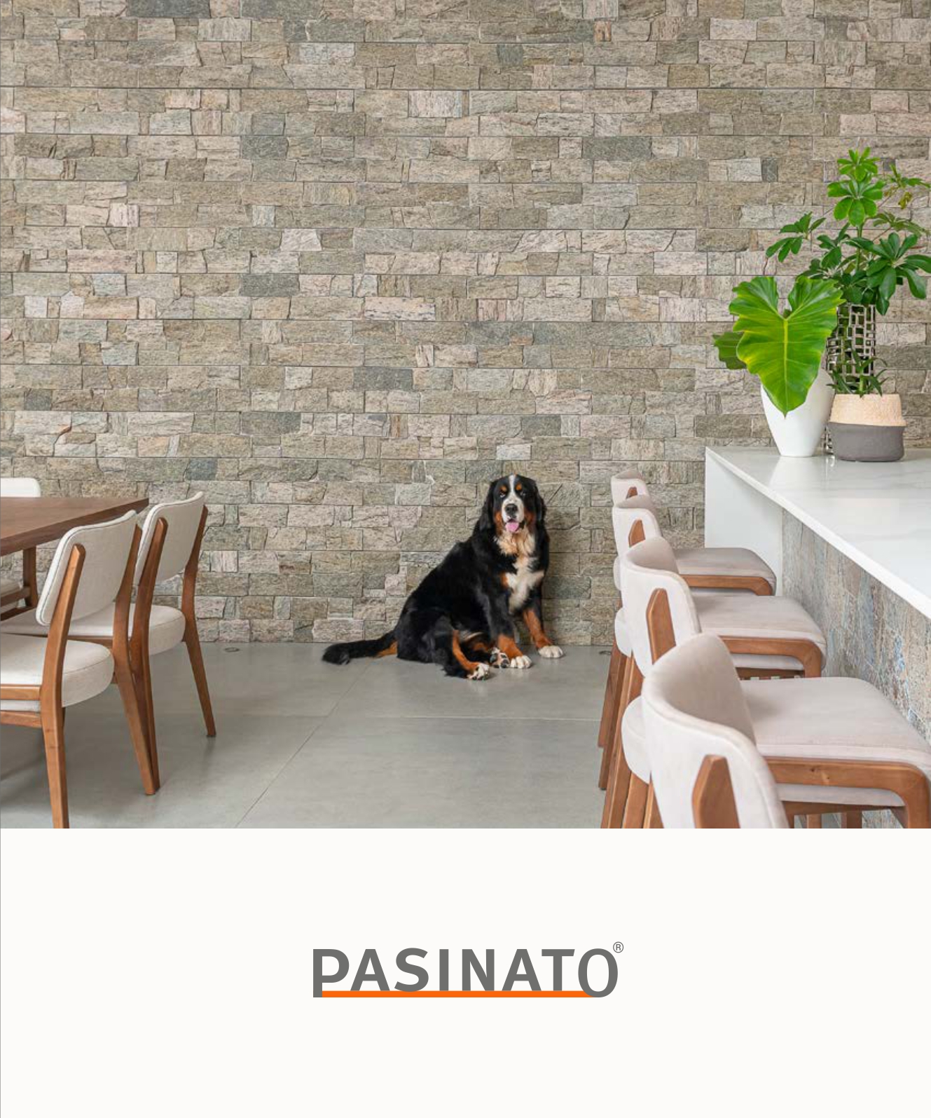 PASINATO 2025