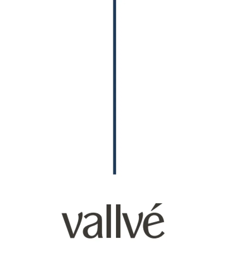 Capa do catálogo VALLVÉ 2025