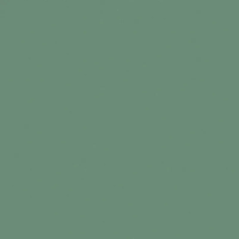 Colore 300.17