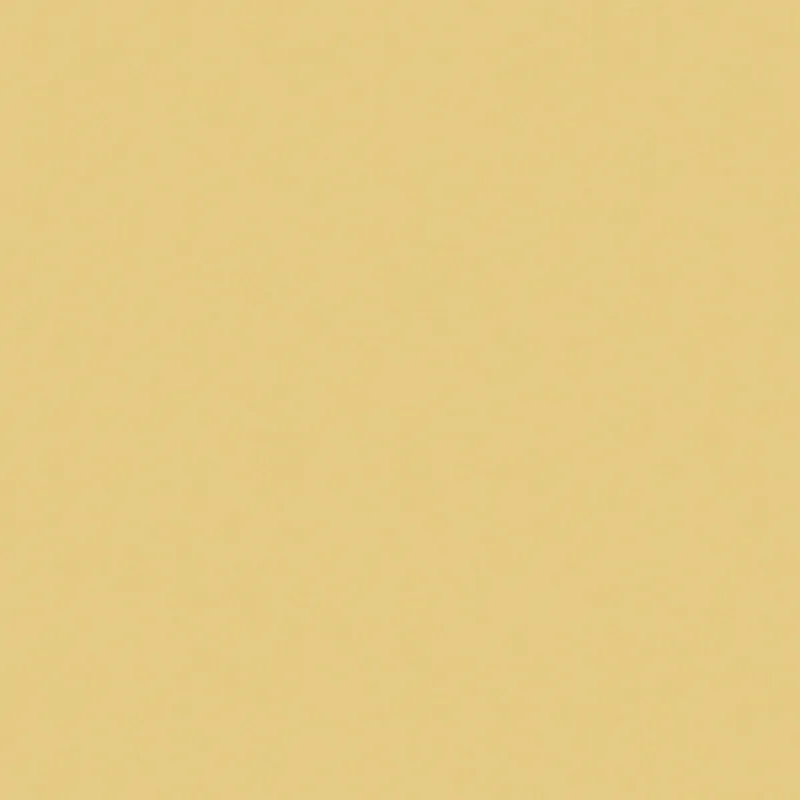 Colore 300.19