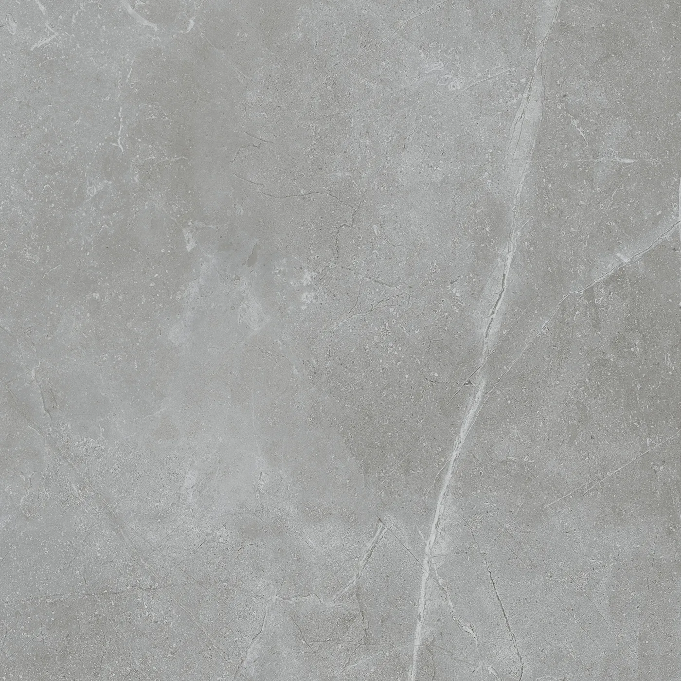 Marmo Grigio 100.6